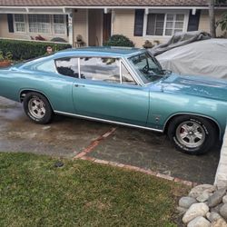 67 Ply Barracuda
