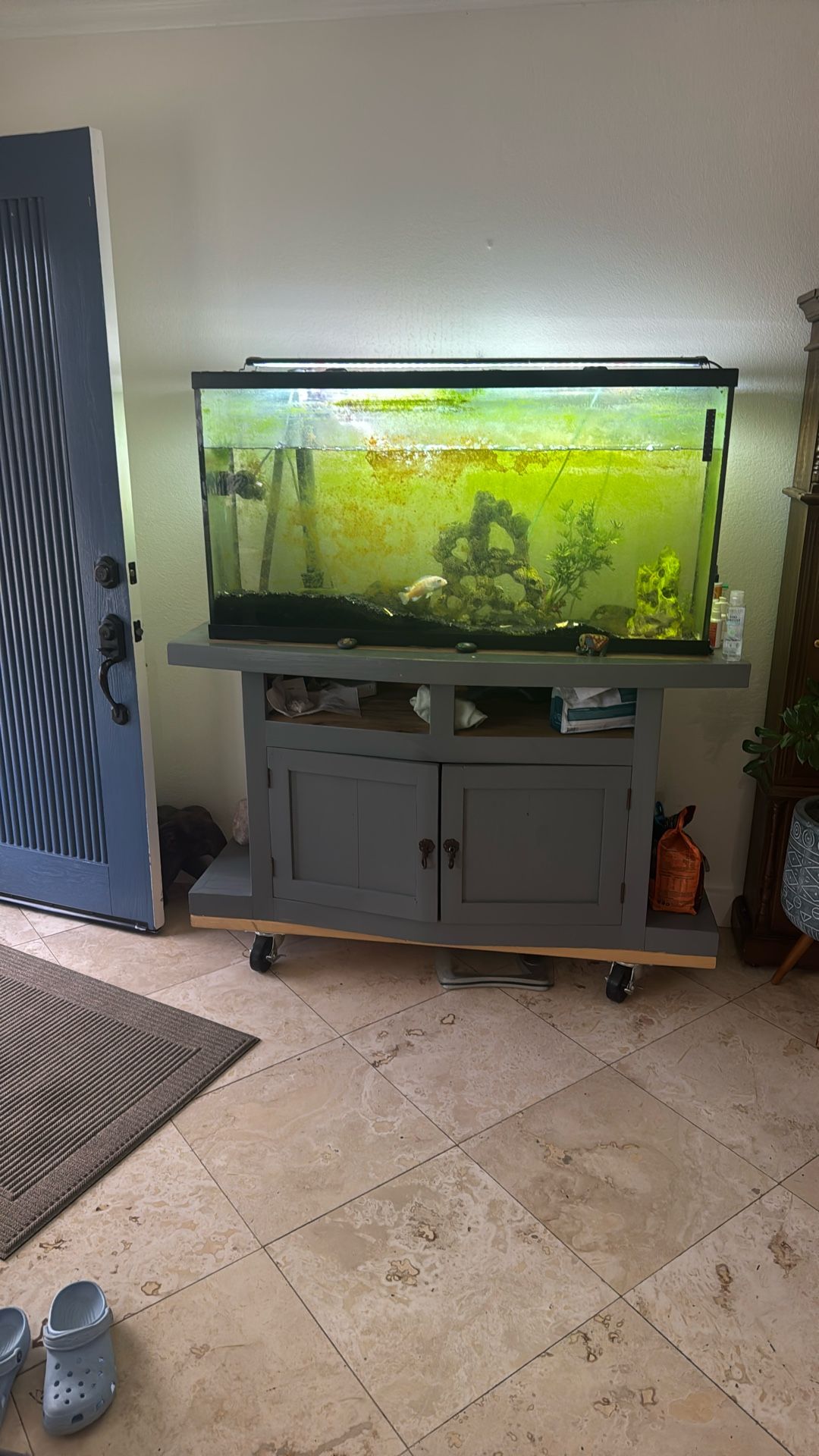 Fish π Tank