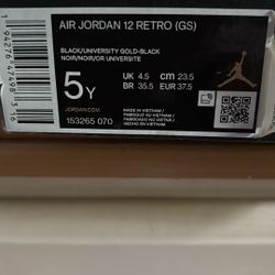 GS Retro Jordan 12s