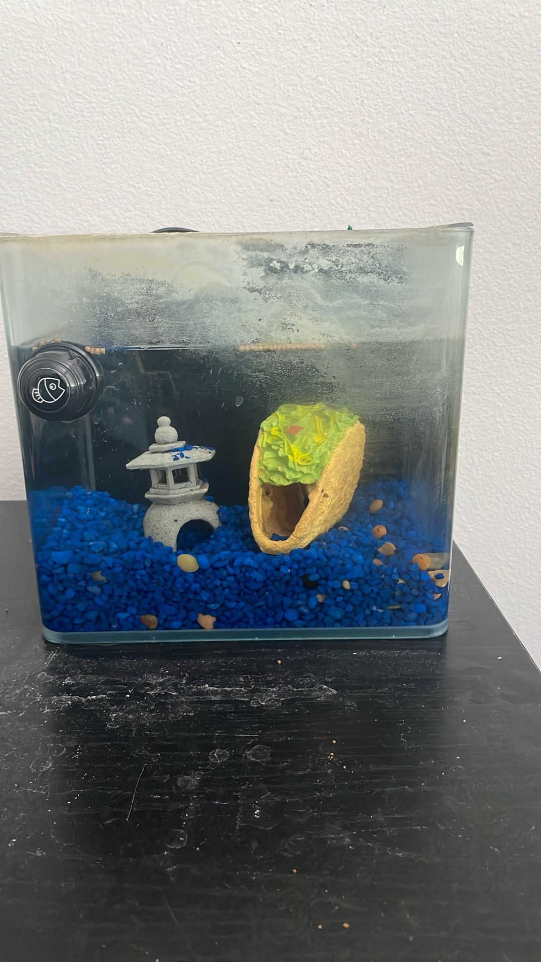 fish tank