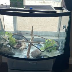 Chameleon Tank