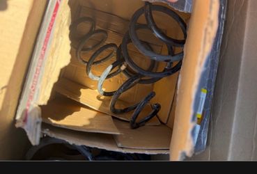 OEM Honda Civic Springs 11th gen