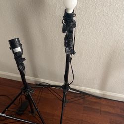 Photography Lights