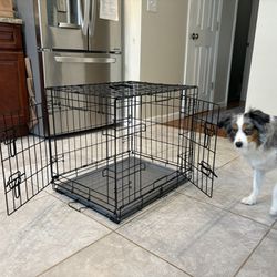 Dog training Crate Bundle 