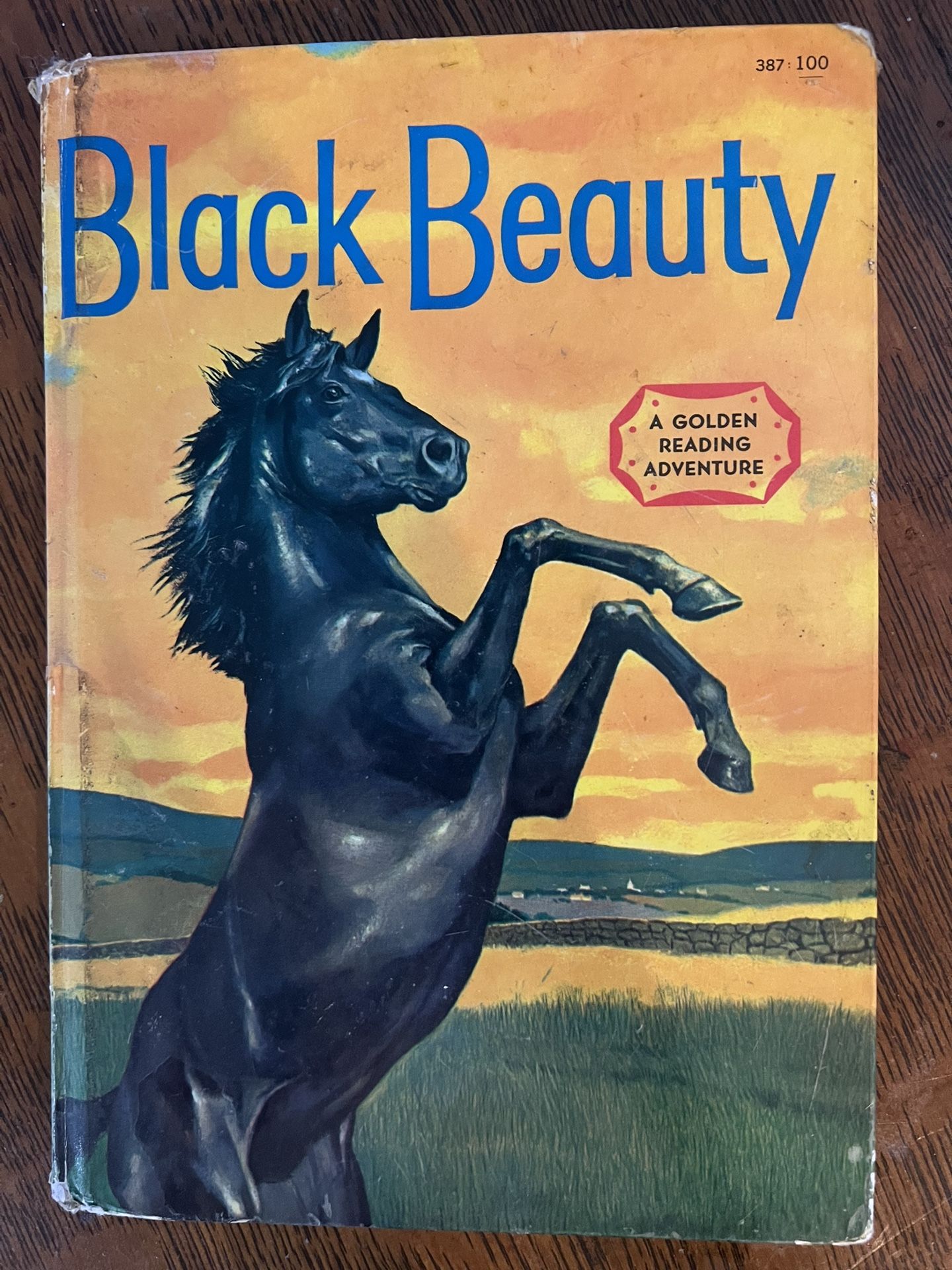 Vintage Black Beauty