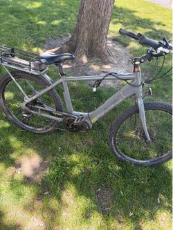 Raleigh Bike