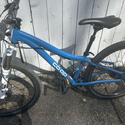 Kids XXS Mountain Bike From REI
