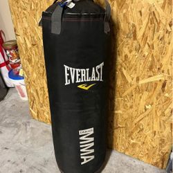 Everlast Punching Bag- 65lbs 