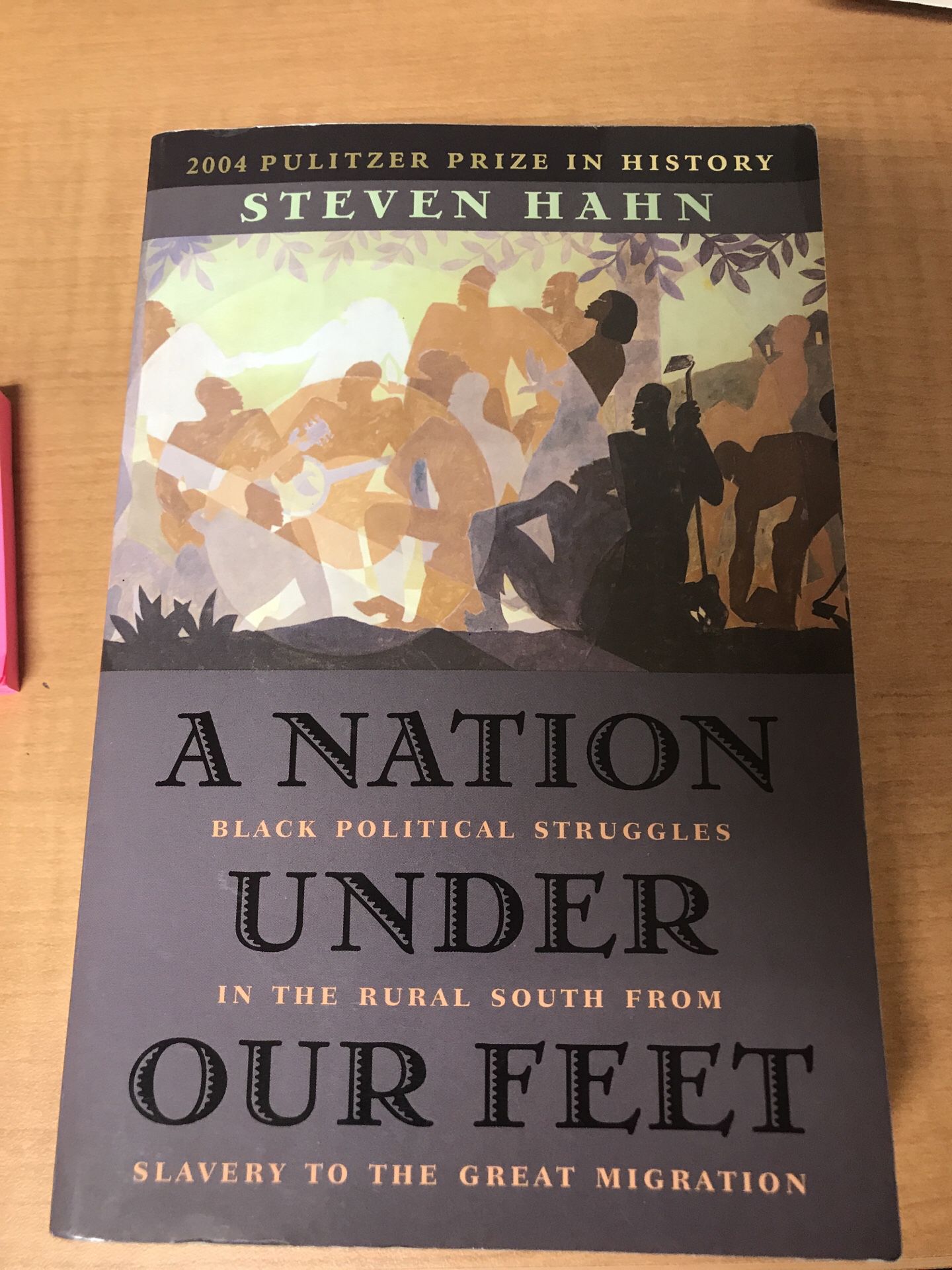 A Nation Under Our Feet By Steven Hahn