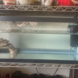20 Gallon Long Fish tank Or Reptile Tank 