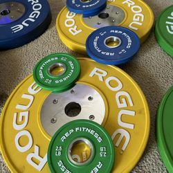 ROGUE TRAINNING PLATES