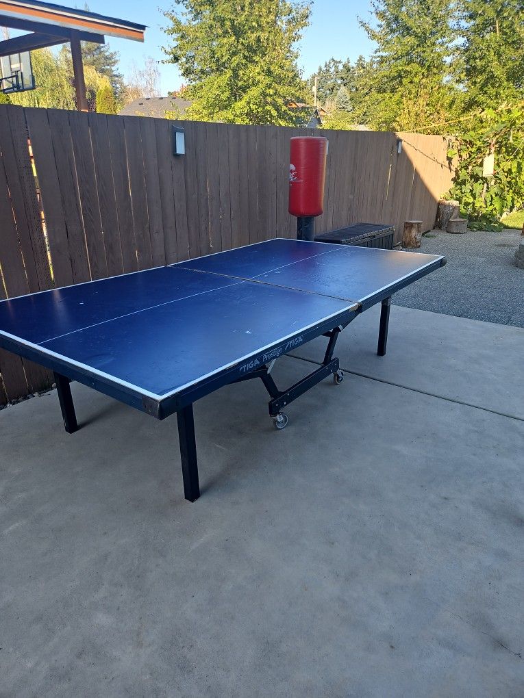 Ping Pong Table 