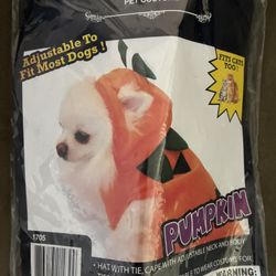 Pumpkin Dog/cat Costume 🎃