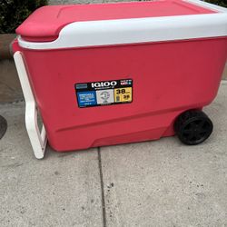 Wheelie Cooler 