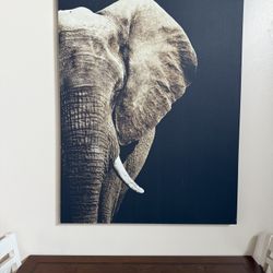 Large Canvas Wall Art