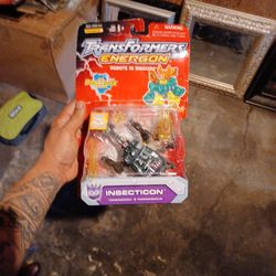 Transformers Energon Insecticon