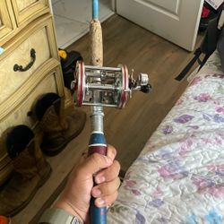 Fishing Rod