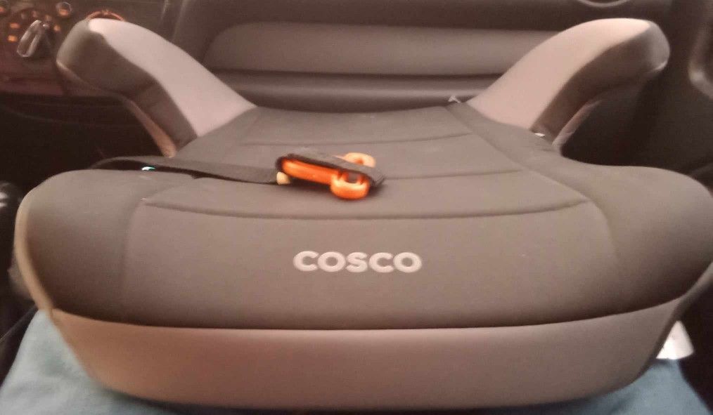 Brand New Booster Seat 