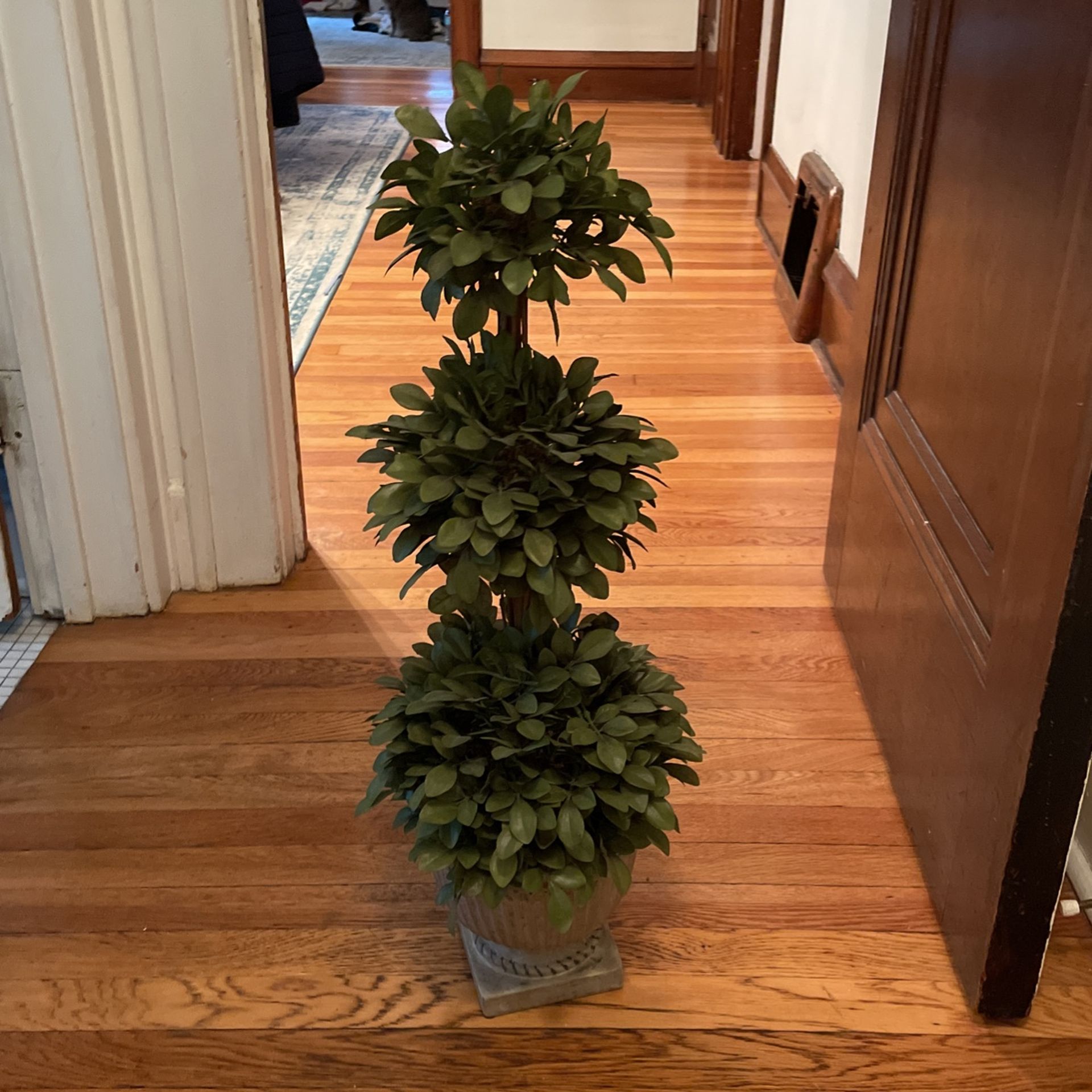 Triple Ball Boxwood Topiary In Pot 