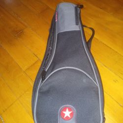 Violin Case