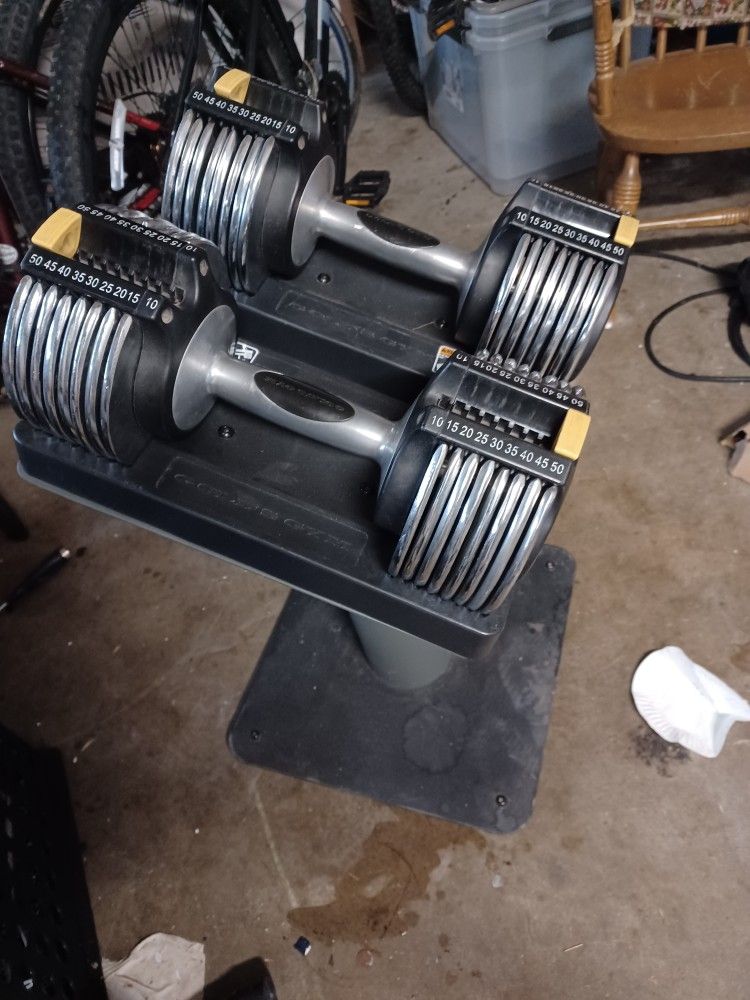 Golds Adjustable Weights