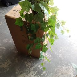 Artificial Plant 