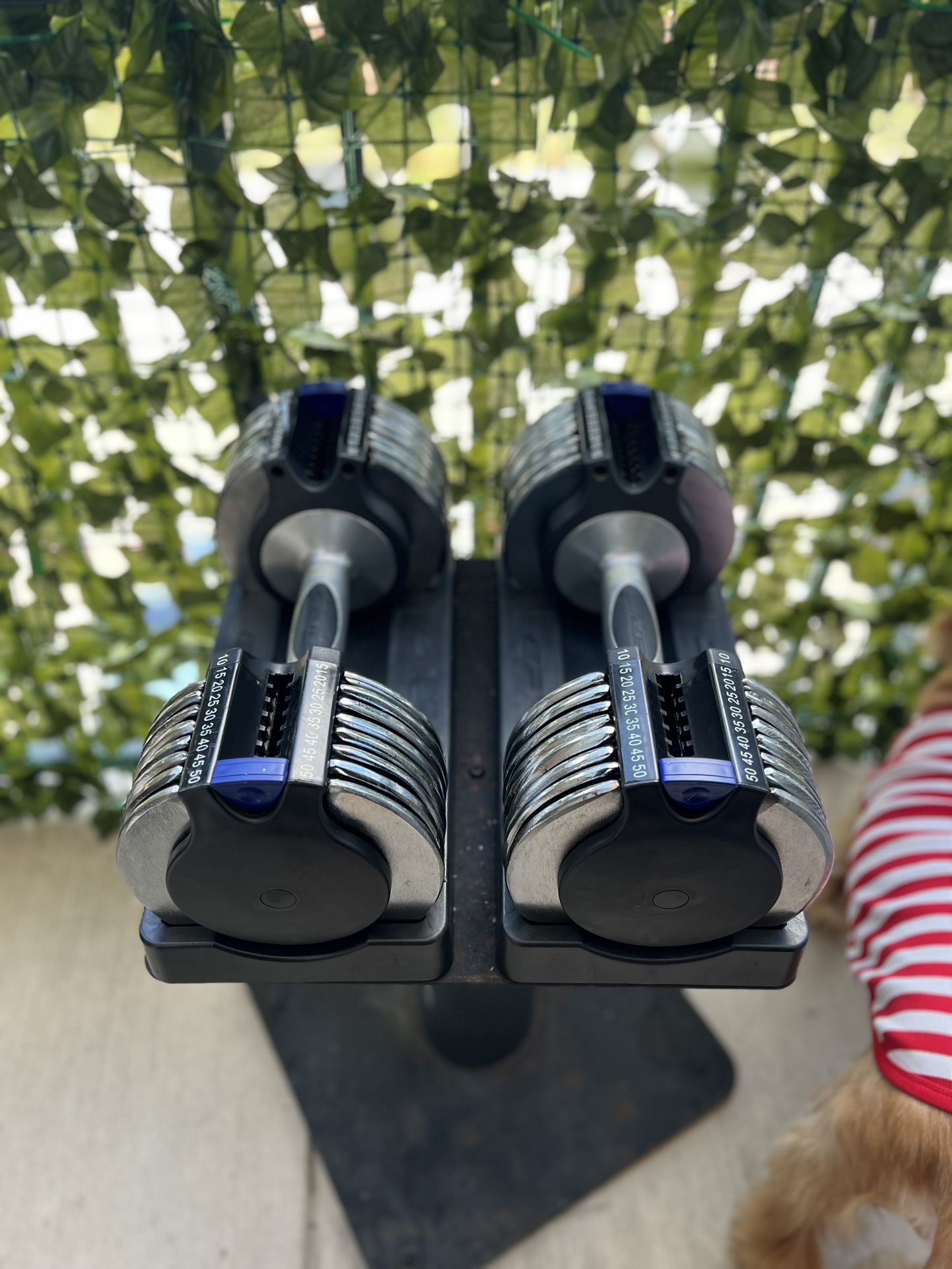EPIC Power Set 100 SpaceSaver Weights with Stand