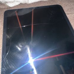 iPad 3rd gen / 11 inches