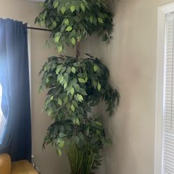 Fake plant 