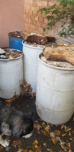 Nice Barrels 2 55gal And 1 20gal And 1 Steel