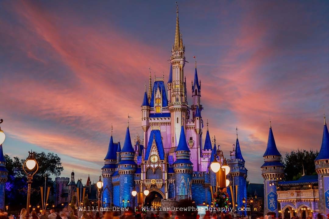 Disney World Tickets