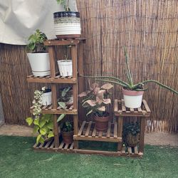 Plant Shelf 