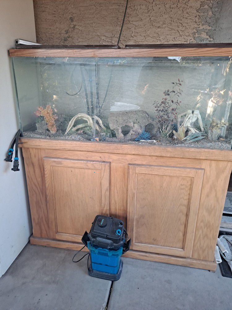 Fish Tank & Extras