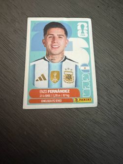 Enzo Fernandez panini sticker