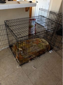 Large dog crate