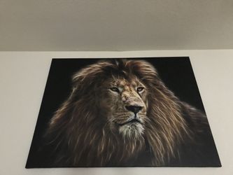 Lion Pictures Canvas 4 X Pictures.