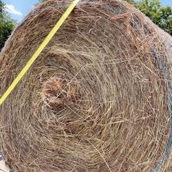 Hay Bales (4x5) 