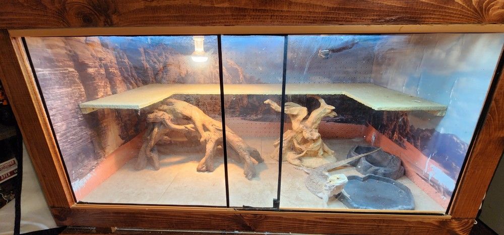 2 Bearded Dragon Terrarium/ Cage $100