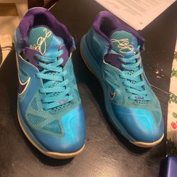  Nike LeBron 9 Low "Summit