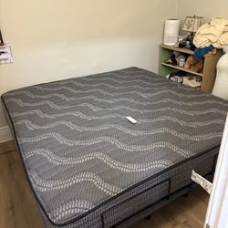 New Mattresses Never Used $10 Can Take Home