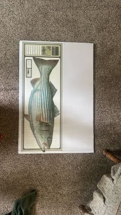 Artbeats World Record Striped Bass Poster