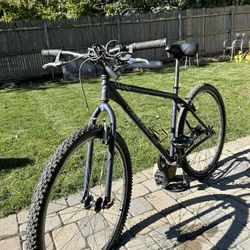 Redline Monocog 19”