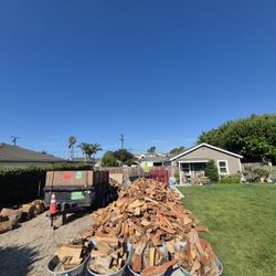 Firewood Fire Wood
