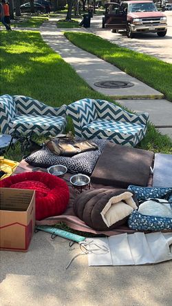 Lot of dog beds. TODAY ONLY