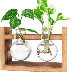 Terrarium Propagation Glass Bulb Vases W/ Wooden Stand