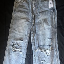 Pacsun Casey low rise baggy
