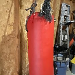 50 Pound Heavy Bag Excellent Condition