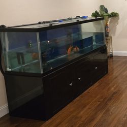 Aquarium Tank 180 Gallons And Fluval FX6