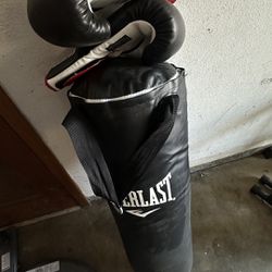 punching bag and gloves