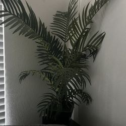 Free Medium Size Artificial Tree